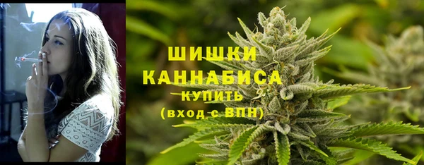 мдпв Верея