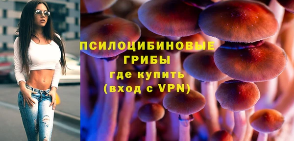 шишки Семилуки