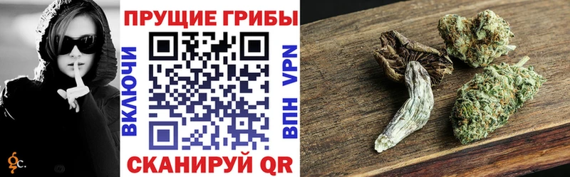 Галлюциногенные грибы Psilocybe  hydra как зайти  Зверево  где можно купить  